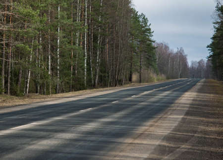the road fleeing into the distance in the spring forest