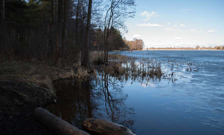 spring forest lake reflecting the blue sky and cloudsの写真素材