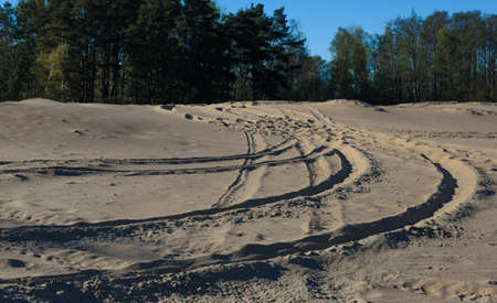 human footprints on the beach sand in a forestの写真素材