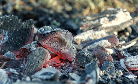 Texture embers closeup. Embers after a fire.の写真素材
