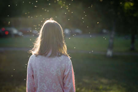 lonely girl teenager standing in a Park lit by the sun and midges flyの写真素材
