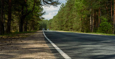 turn field road in the summer forestの写真素材