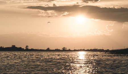 summer sunset on the lake after the rainの写真素材