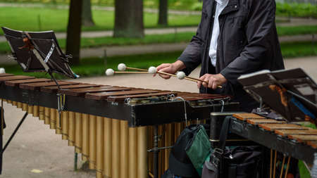 Close up of the musician playing on xylophone.の写真素材