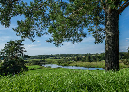 summer landscape of green hills on the background of the river