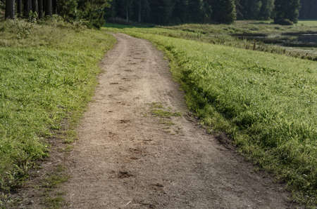 trace of the hoof of the horse on the sandy road in the woodsの写真素材
