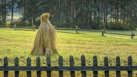 haystack on the field is fenced by a wooden fenceの写真素材