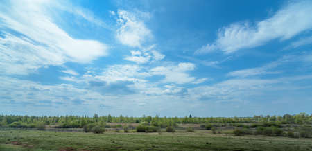 rural panorama of the field at the pens on a background of blue skyの写真素材