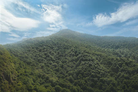 Horizontal shot of mountains covered with green dense forest on the background of bright blue sky and white cloudsの写真素材