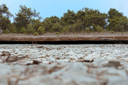 Vintage stone board empty table in blur front of coniferous forest on background of blue sky.の写真素材