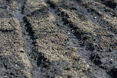 The texture of the soil close up ready for planting. Part of the blur.の写真素材