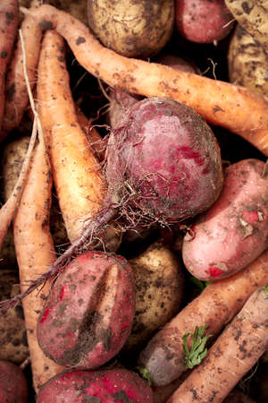 Vertical shot of dirty vegetables. Potatoes, carrot, beet. The concept of the harvest.の写真素材