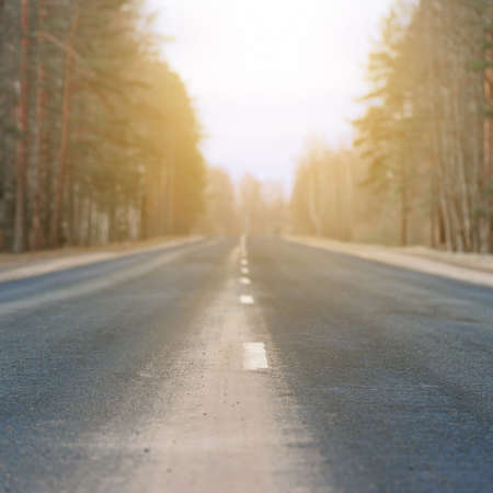Square shot of highway with its white dividing strip illuminated by bright sunlight close up. The forest background in blur.の写真素材