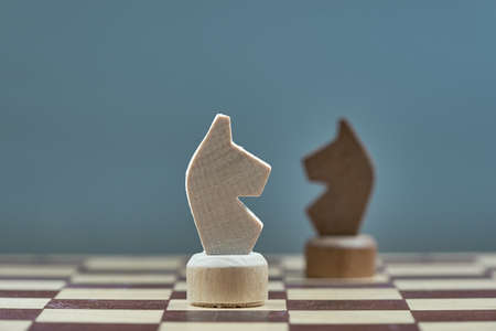 Horizontal shot of two chess horse. The concept of confrontation.