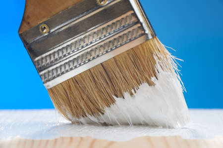 Paint brush close-up on blue background. Painting the floor with white paint. The concept of...