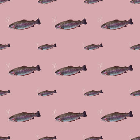 Seamless pattern of floating rainbow trout closeup isolated on pink background. The fish breathes and bubbles rise.の写真素材