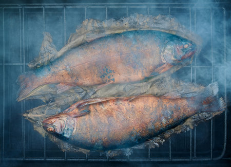 Horizontal shot of smoking process. Trout is smoking on the grill and smoke rises above the fish.の写真素材