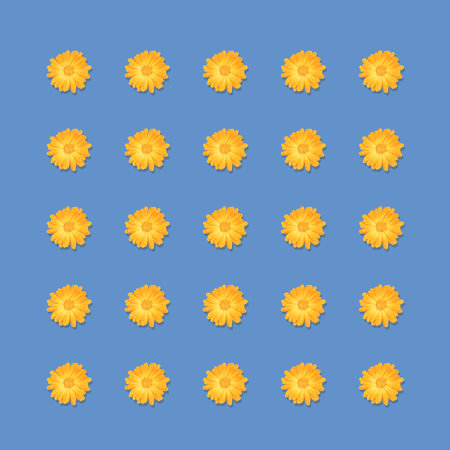 Square pattern of yellow flowers isolated on blue background.の写真素材