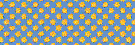 Horizontal banner of seamless pattern of yellow flowers isolated on blue background.の写真素材