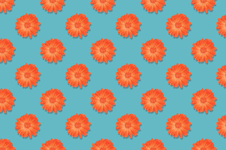 Horizontal seamless pattern of red flowers isolated on blue background.の写真素材