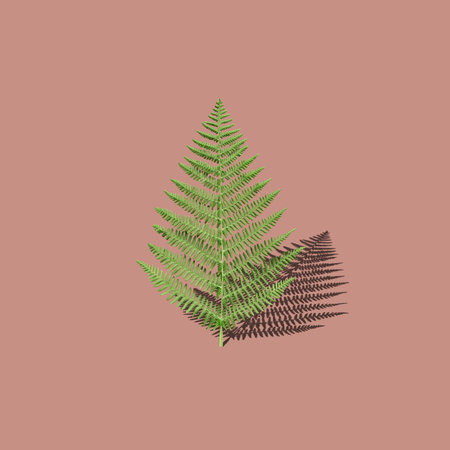 Square shot of fern branch with a shadow is isolated on a brown background. A fern branch is like a...