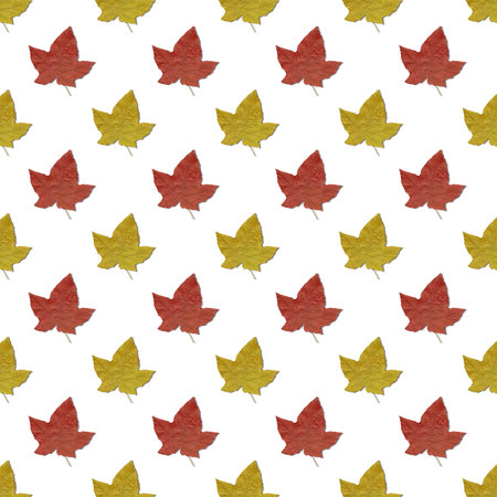 Square seamless pattern of multicolored leaves isolated on white background.の写真素材