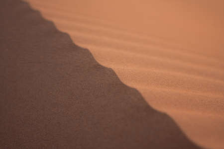the sand dunes in the eastern desert