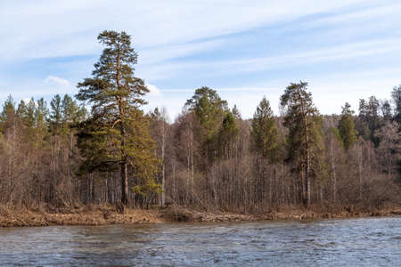 Beautiful Ural nature on the river Inzer, South Ural region, Russiaの写真素材