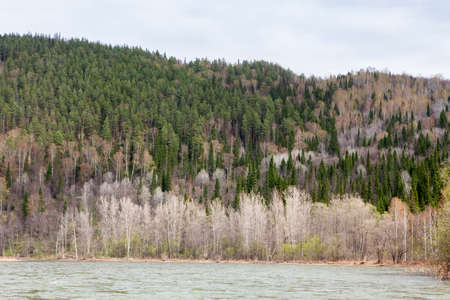 Beautiful Ural nature on the river Inzer, South Ural region, Russiaの写真素材