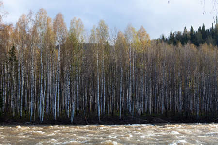 Ural nature on the river Lemeza, South Ural region, Russiaの写真素材