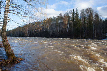 Ural nature on the river Lemeza, South Ural region, Russiaの写真素材