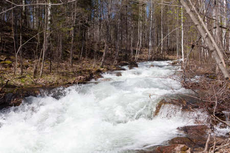 Stormy mountain river on the south of the Ural Mountains  Russia の写真素材