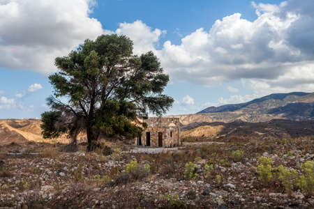 Tree in the castle of Antimachia village in Kos island Greeceの写真素材