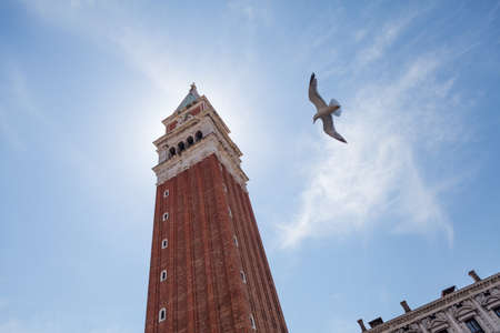 A seagull flies in the clear blue sky next to St. Mark's Campanile, the bell tower of St. Mark's Basilica. Venice, Italy.のeditorial素材