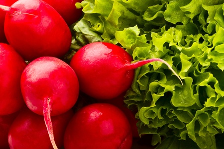 background from red radish and salad lettuceの写真素材