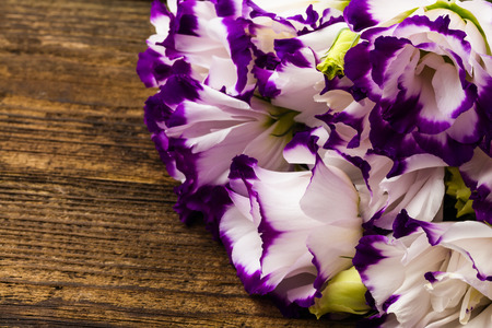 wonderfull white-purple lily on wooden backgroundの写真素材