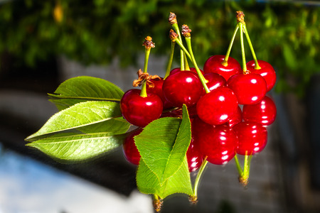 Fresh cherry on mirror の写真素材