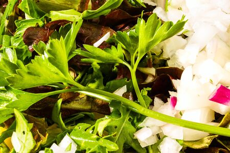background from fresh chopped onion, salad, cucumbers, parsley, arugulaの写真素材