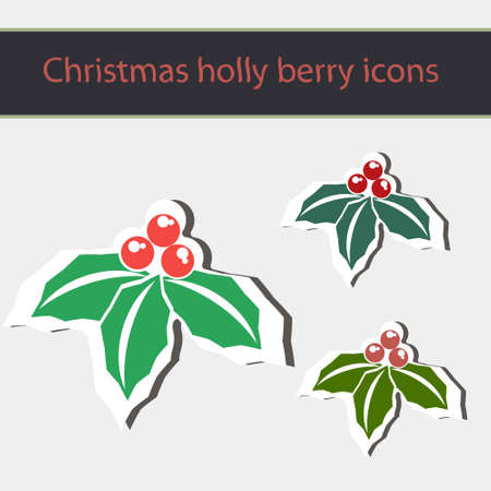 Christmas holly berry symbol. Vector iconのイラスト素材