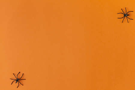 background for halloween, spiders on an orange table, top view, lots of free space, flat layの写真素材