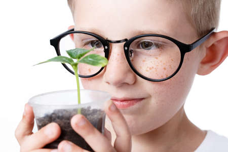 little boy holding a glass with a small plant, a sprout in his hands isolated on a white backgroundの写真素材
