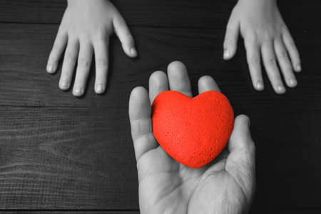 red heart in hands on a dark background, the concept of love and care for loved ones and needy. black and white.の写真素材