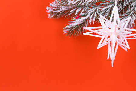Branch of Christmas tree decorated with toys on red background. christmas concept. new year compositionの写真素材