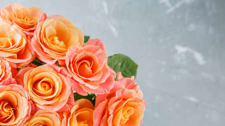 Pink  roses Miss Piggy  bouquet. At blank copy space, over grey background.
