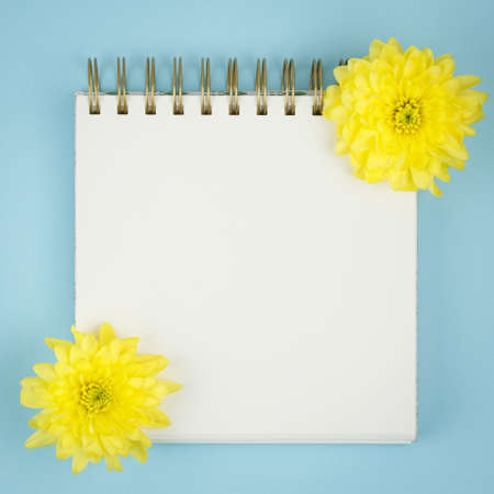 Top view of a open notebook, spiral notepad with blank sheet with Yellow chrysanthemum flowers . Opal. Flat lay, spring background At blank copy space, over light blue background.の写真素材