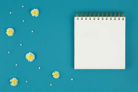 Top view of a open notebook, spiral notepad with blank sheet, white chamomile on a blue background. Flat lay with a flower and petals.の写真素材
