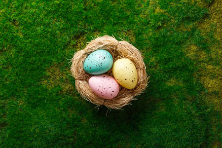 easter composition top view. eggs in the nest on green grass background flat lay with space for text. Congratulatory easter backgroundの写真素材