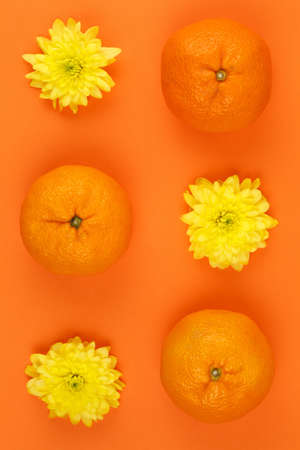 Top view of a fresh orange fruit with yellow chrysanthemum flowers. At blank copy space, over orange...