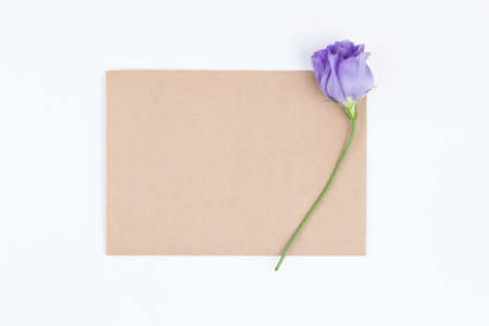 Vintage sheet of paper with a purple flower. On a white isolated background. Love note. Romantic...