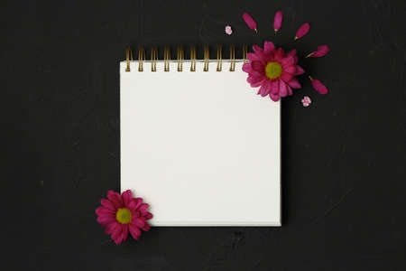 Top view of a open notebook, spiral notepad with blank sheet with pink chrysanthemum  chamomile...
